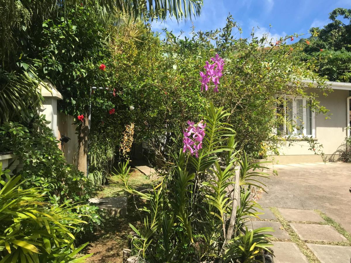 Sunbird Bungalow آنس بوالو المظهر الخارجي الصورة