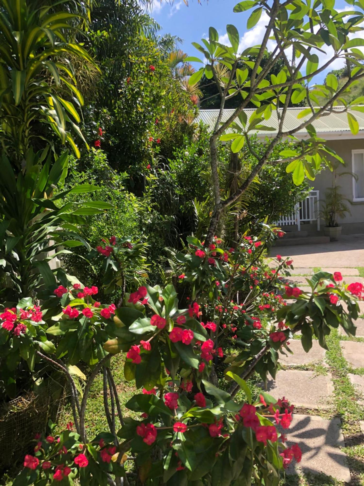 Sunbird Bungalow آنس بوالو المظهر الخارجي الصورة